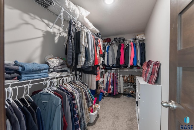 spacious closet with carpet floors