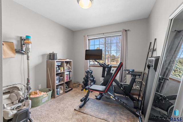 exercise area featuring carpet floors