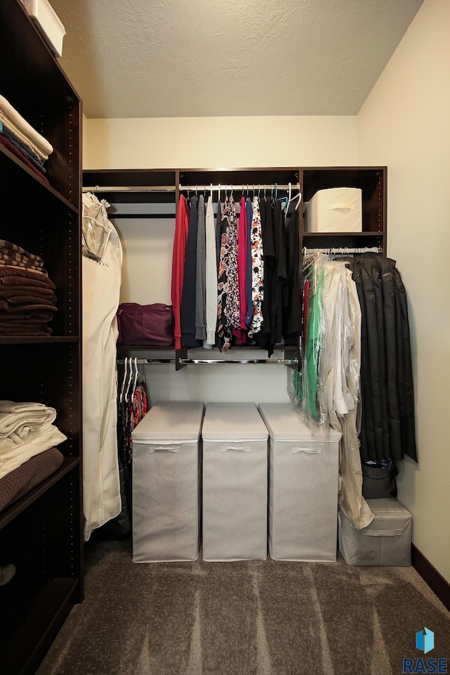 spacious closet with carpet floors