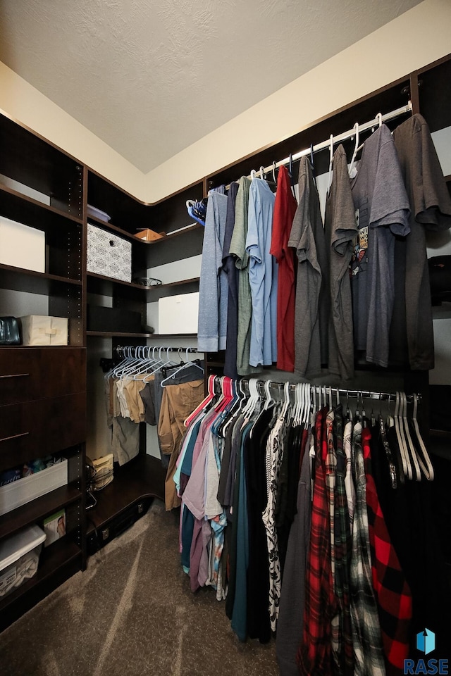 walk in closet featuring carpet floors