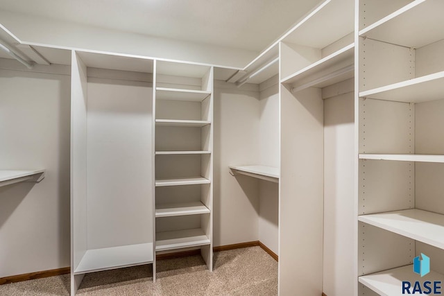 spacious closet featuring carpet floors