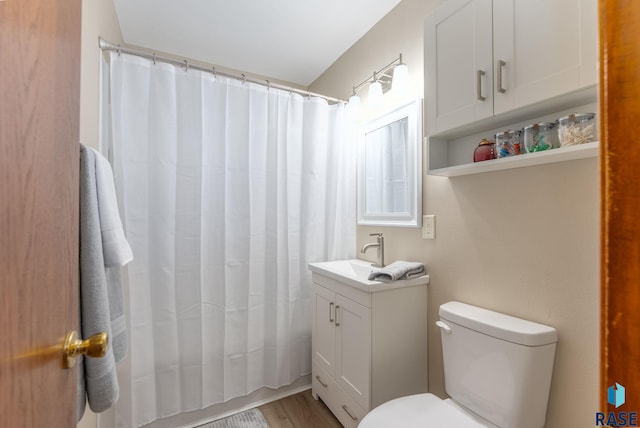 bathroom featuring toilet, curtained shower, and vanity