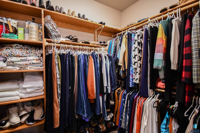 view of walk in closet