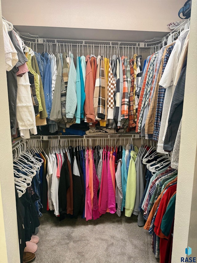 spacious closet featuring carpet floors