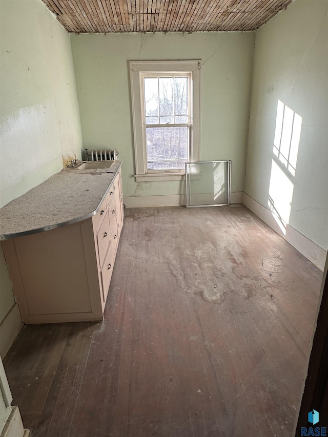 interior space with wood-type flooring