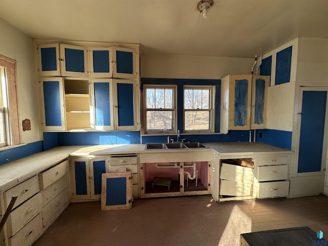 kitchen featuring light countertops, a sink, and wood finished floors