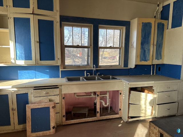 kitchen featuring light countertops, a sink, and wood finished floors