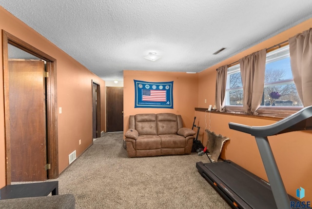 exercise area with a textured ceiling, visible vents, and carpet flooring