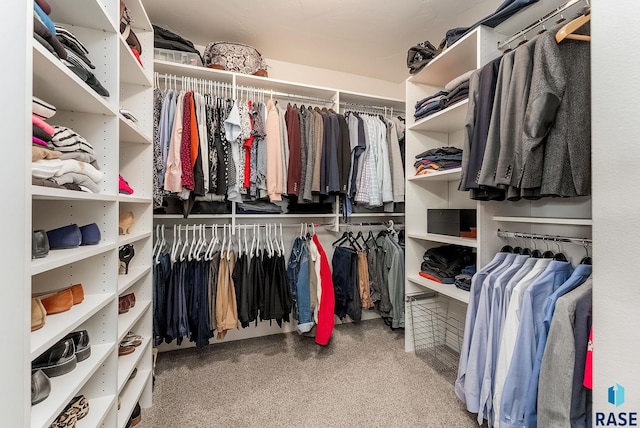 view of spacious closet