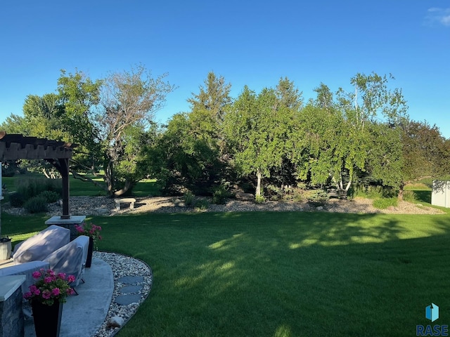 view of yard featuring a pergola