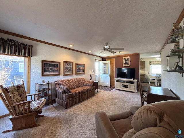 carpeted living area featuring a textured ceiling, a textured wall, a ceiling fan, and crown molding