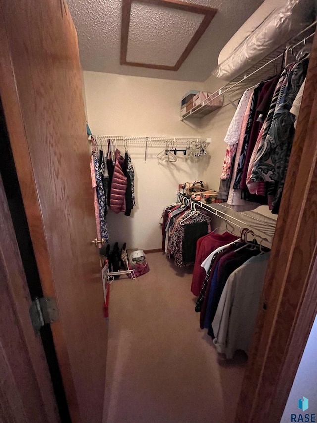 walk in closet with carpet floors