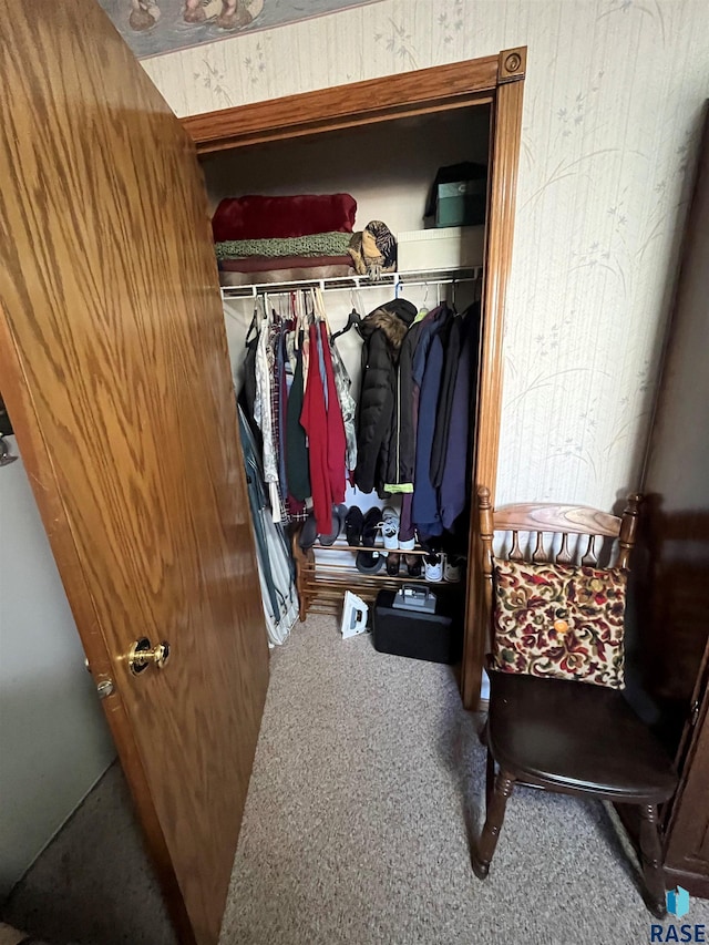 view of closet