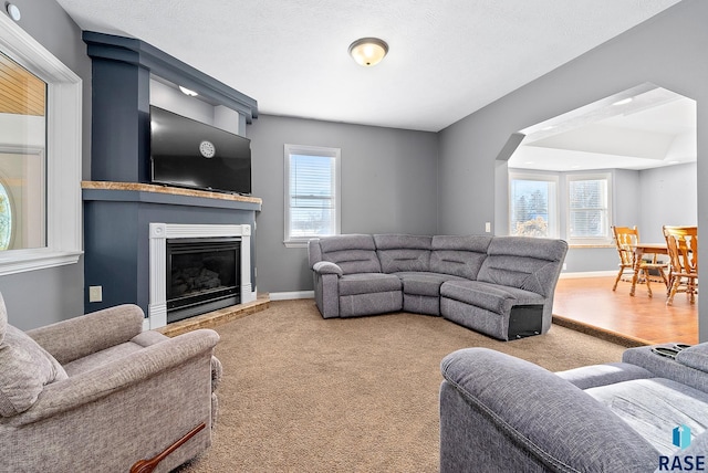 living area featuring carpet, baseboards, a wealth of natural light, and a glass covered fireplace