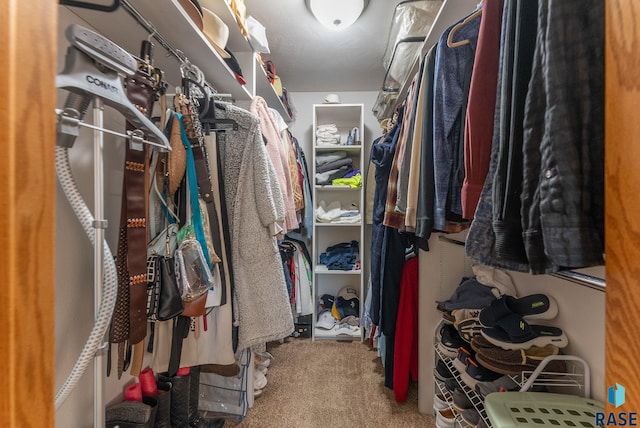 walk in closet featuring carpet flooring