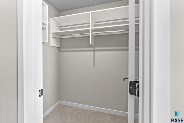 walk in closet featuring carpet