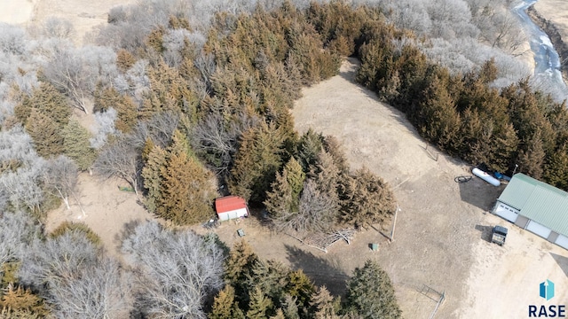 bird's eye view with a view of trees