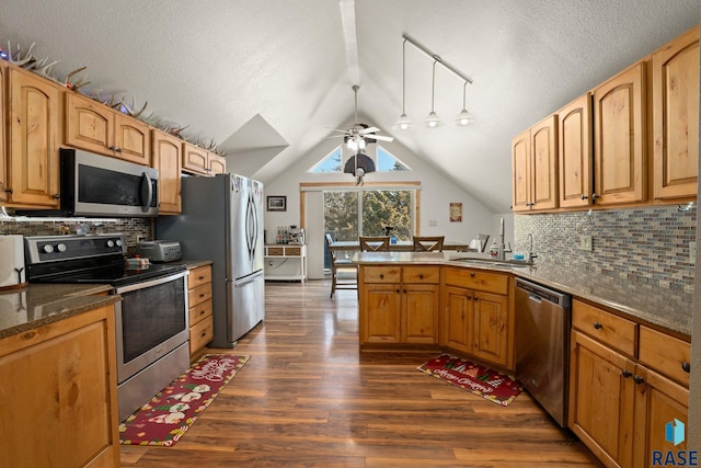 kitchen with a ceiling fan, dark wood-style floors, appliances with stainless steel finishes, a peninsula, and a sink