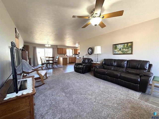 living room with a ceiling fan, a textured ceiling, and wood finished floors