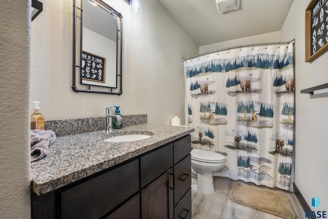 full bathroom with toilet, wood finished floors, vanity, and a shower with curtain