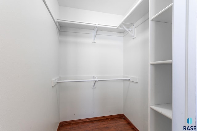 walk in closet featuring dark wood finished floors