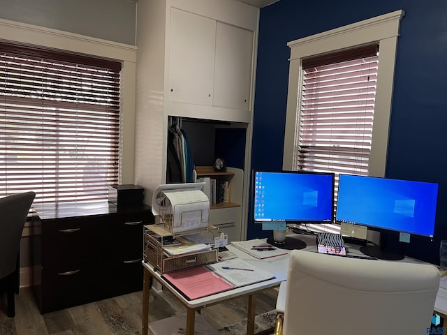 office space featuring a wealth of natural light and wood finished floors