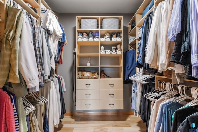 walk in closet featuring light wood-style floors