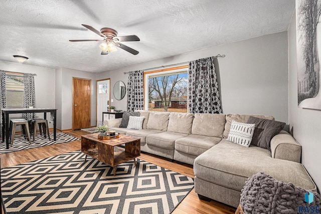 living room featuring a ceiling fan, light wood-style flooring, and a textured ceiling