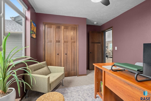 home office with light carpet, a textured ceiling, and a healthy amount of sunlight