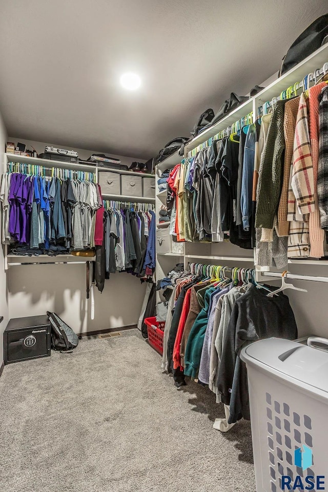 spacious closet featuring carpet