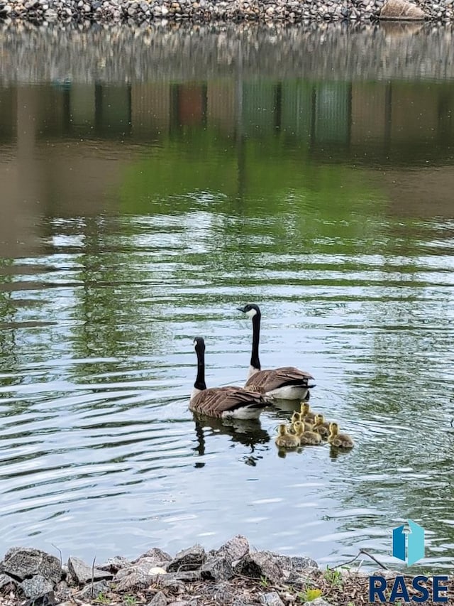 property view of water