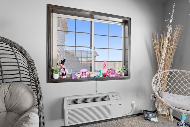 details featuring a wall unit AC, baseboards, and carpet flooring