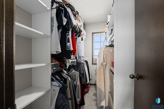 spacious closet with carpet flooring