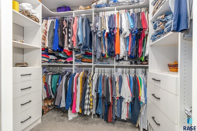 spacious closet featuring carpet flooring