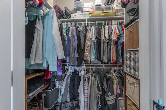 view of spacious closet