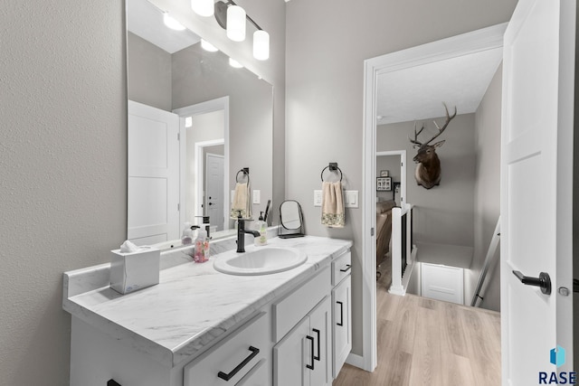 bathroom featuring wood finished floors and vanity