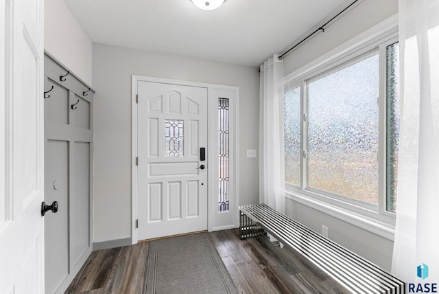 entryway featuring baseboards, dark wood finished floors, and a wealth of natural light