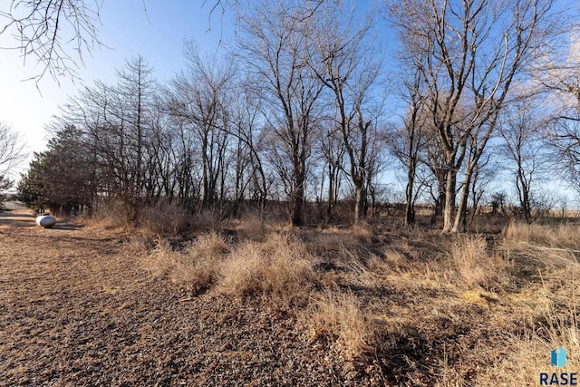 view of local wilderness