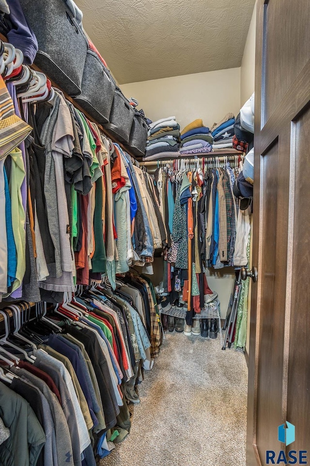 spacious closet with carpet