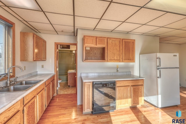 kitchen featuring a paneled ceiling, light wood-type flooring, a sink, and freestanding refrigerator