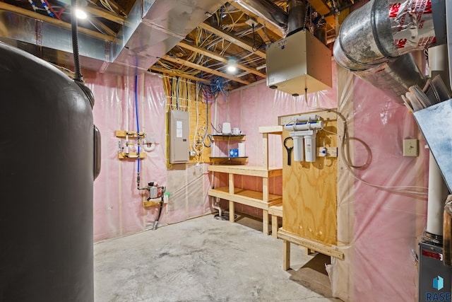 unfinished below grade area with electric panel
