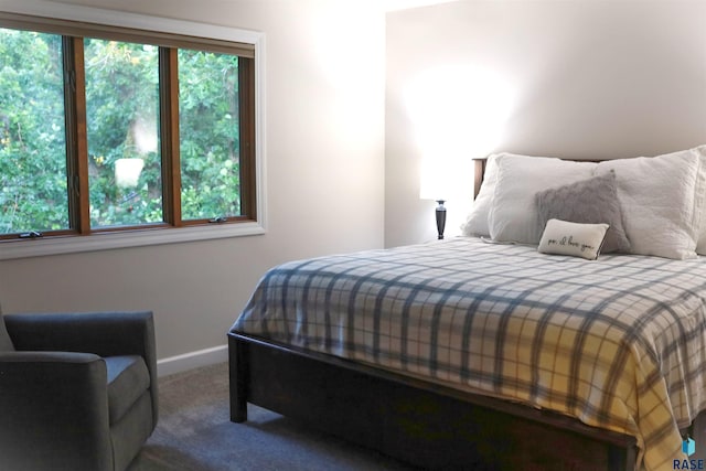 bedroom with carpet floors, multiple windows, and baseboards