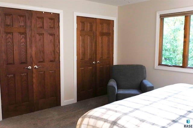 bedroom with carpet and two closets