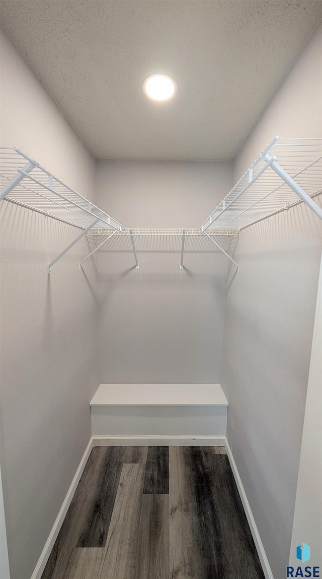 walk in closet featuring wood finished floors