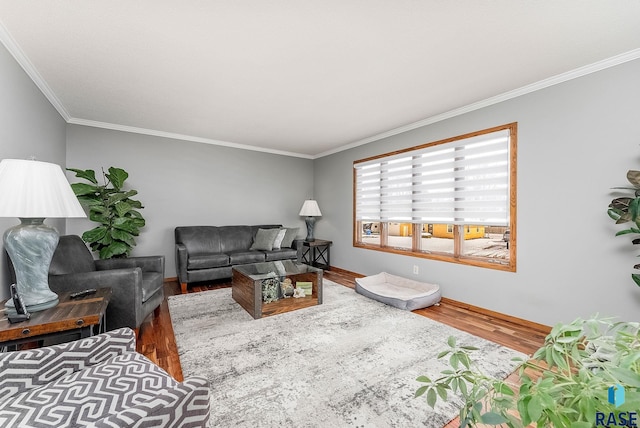 living area featuring crown molding and wood finished floors