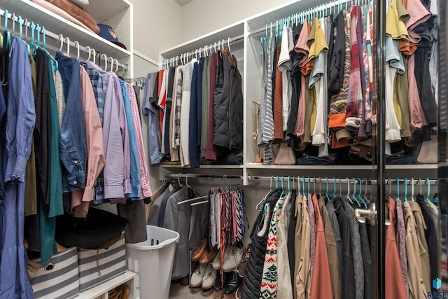 view of spacious closet