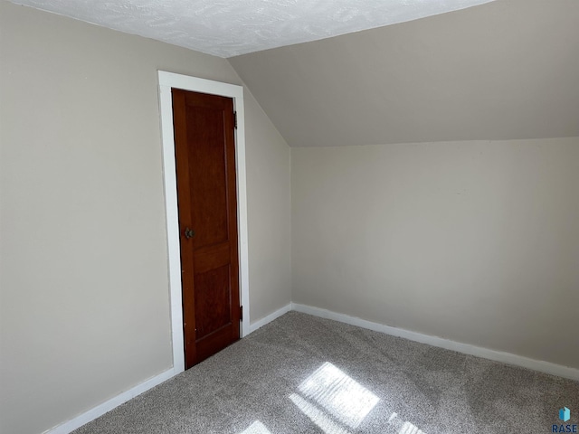 additional living space with lofted ceiling, carpet flooring, baseboards, and a textured ceiling