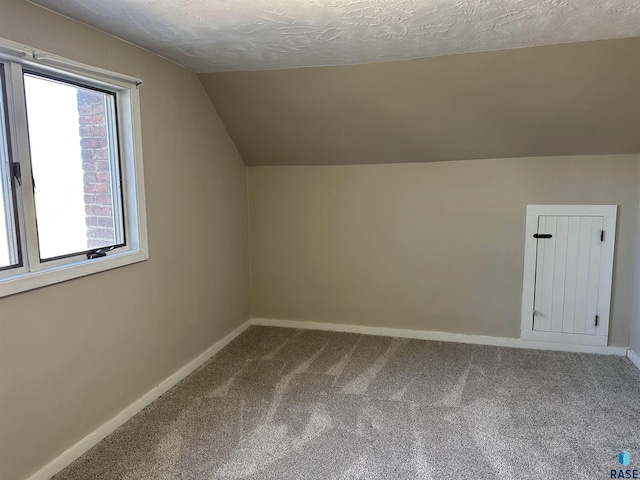 additional living space with baseboards, carpet floors, a textured ceiling, and vaulted ceiling