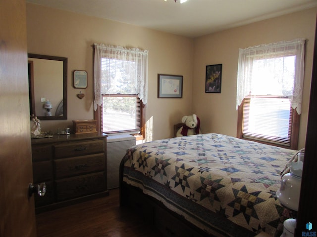 bedroom featuring dark wood finished floors