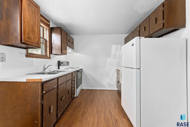 kitchen with white appliances, dark wood-style floors, a sink, light countertops, and under cabinet range hood